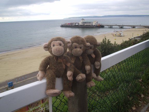 Denny and brothers in Bournemouth