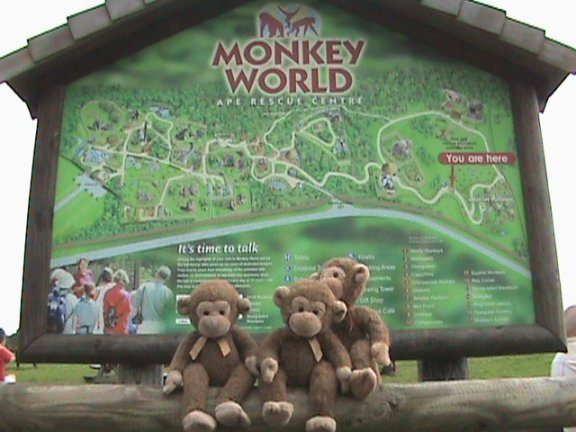 Denney and brothers outside Monkey World