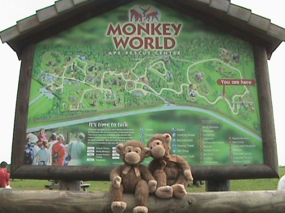 Denney and brothers outside Monkey World