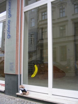 Jimby looking at the bananas on windows