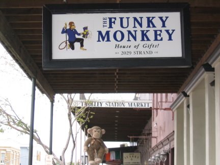 James at Funky Monkey Store