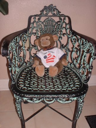 Jimby resting in a chair