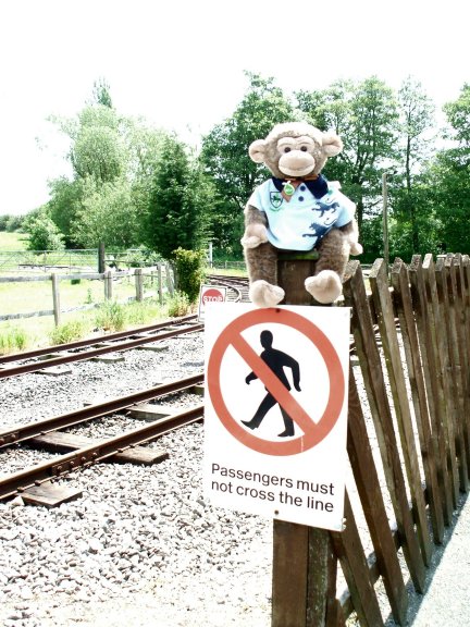 Jimby poses on sign fobidding trespass