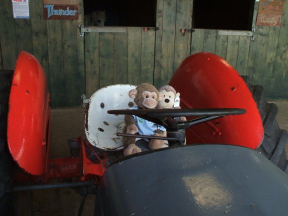 Jimby and Basful on the tractor