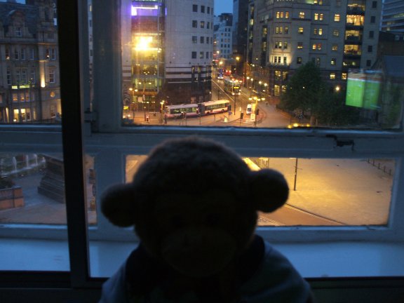 Jimby looks out at the hotel window night