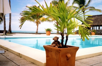 Jimby's relative by the pool in the Seychelles