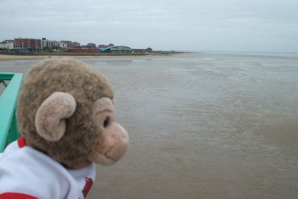 Looked at the sea but not sure about getting wet