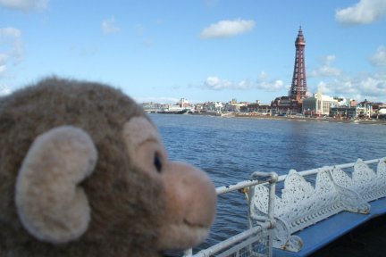 I was very brave and made it to the end of a pier