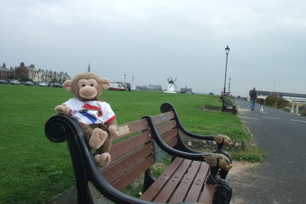 The sun came out and I had a rest on the green near the sea.