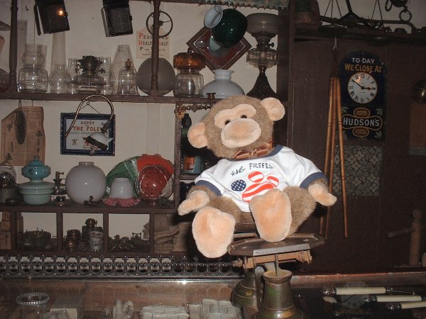 Jimby in an old shop