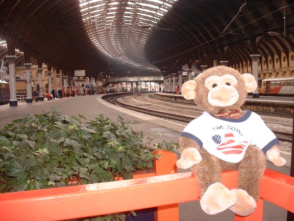 Jimby on York Station