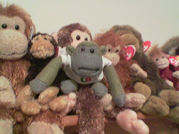 PG Monkey meets everyone