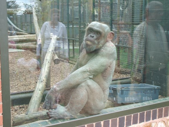Jimby at the zoo